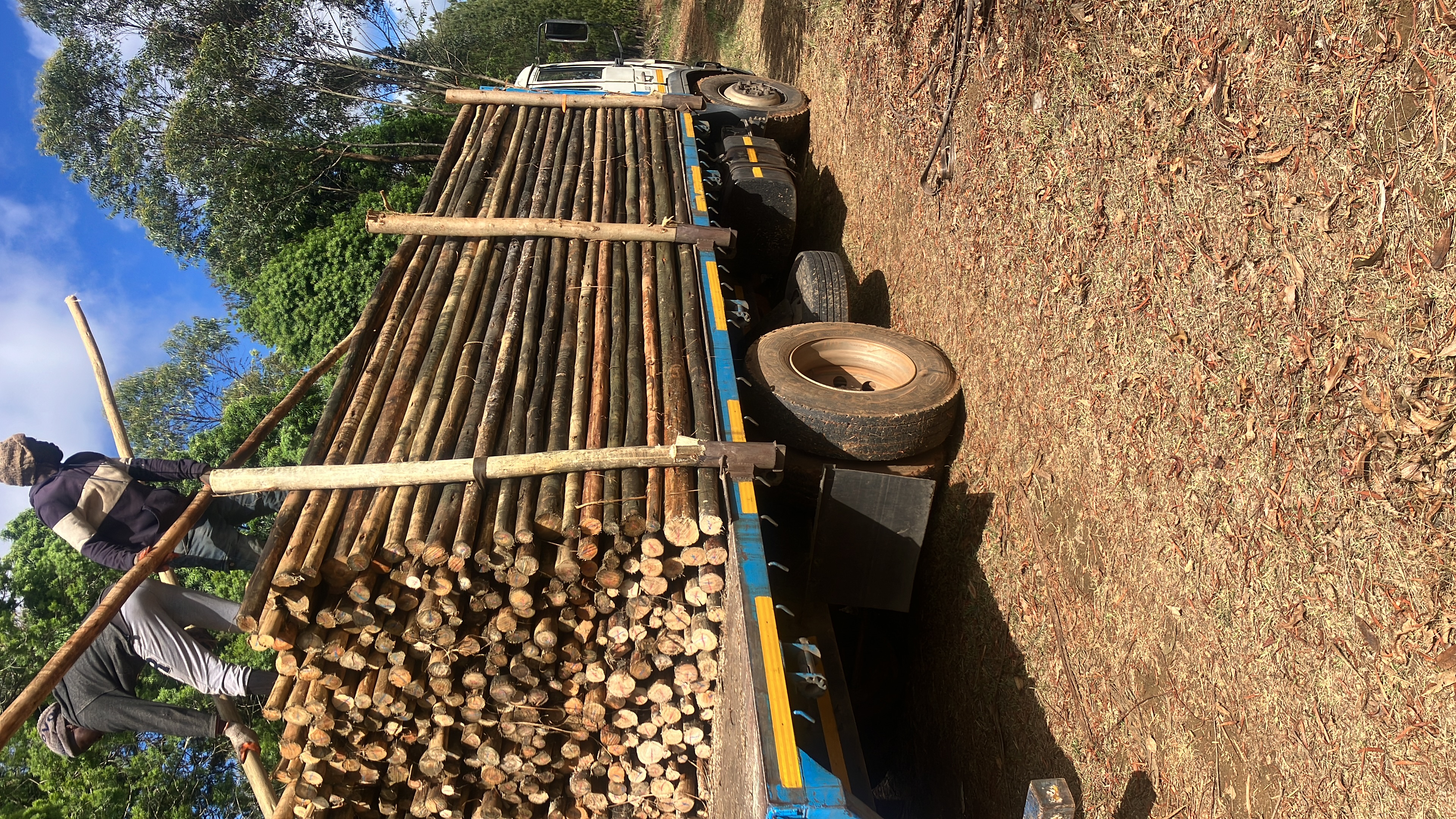 8 Ton Flatdeck for hire in Taona South Africa, Limpopo